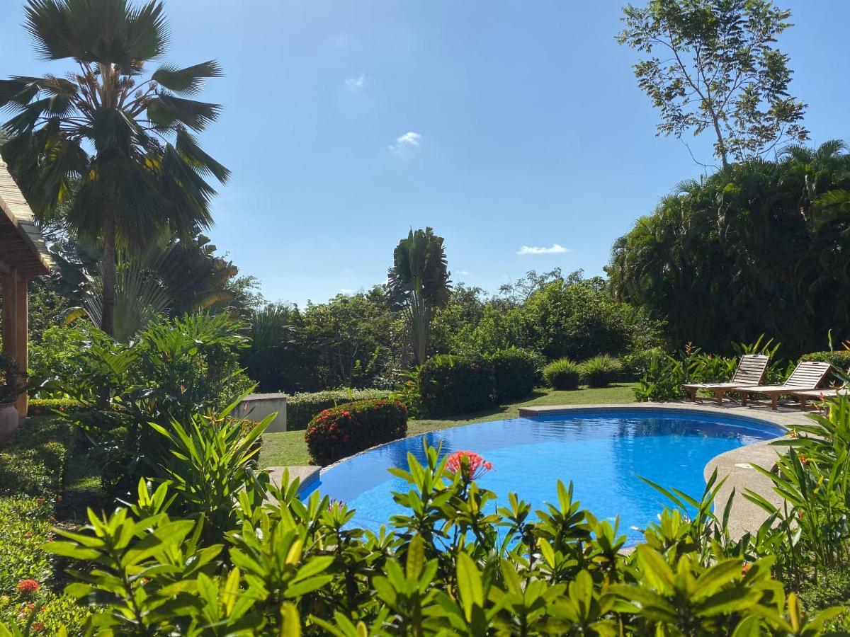 Palm Coast Luxury Rentals Esterillos Este Extérieur photo